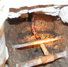 INLAND EMPIRE Slab Leak Repairs